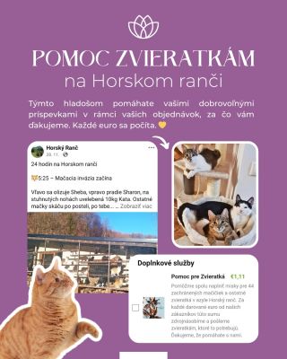 Ďakujeme vám, že prispievate zvieratkám z https://www.horskyranc.sk/ 🐾 Každé darované euro zdvojnásobujeme❤️...